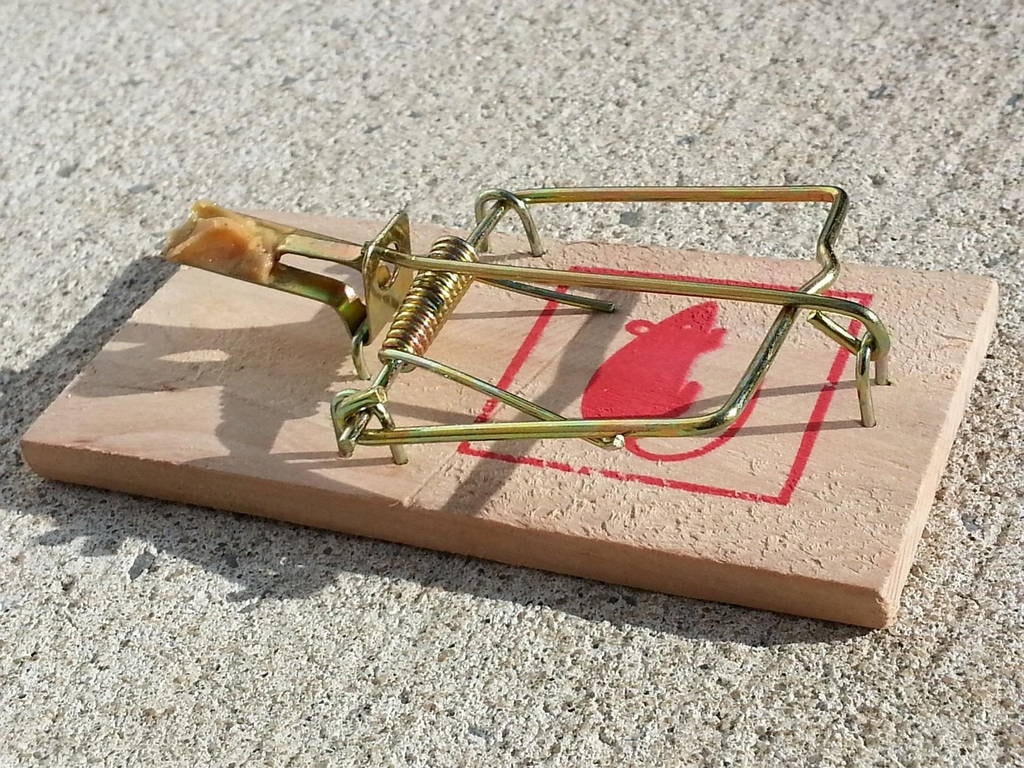 Mouse trap depicting pitfalls to avoid when you give feedback